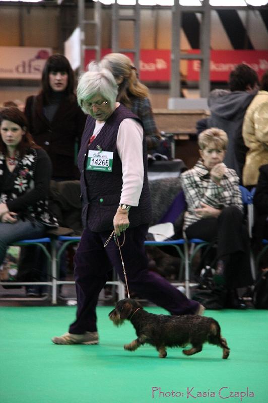 Crufts2011_2 1008.jpg